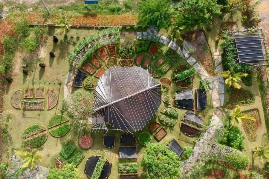 The Pavilions Anana (Source: Trips)