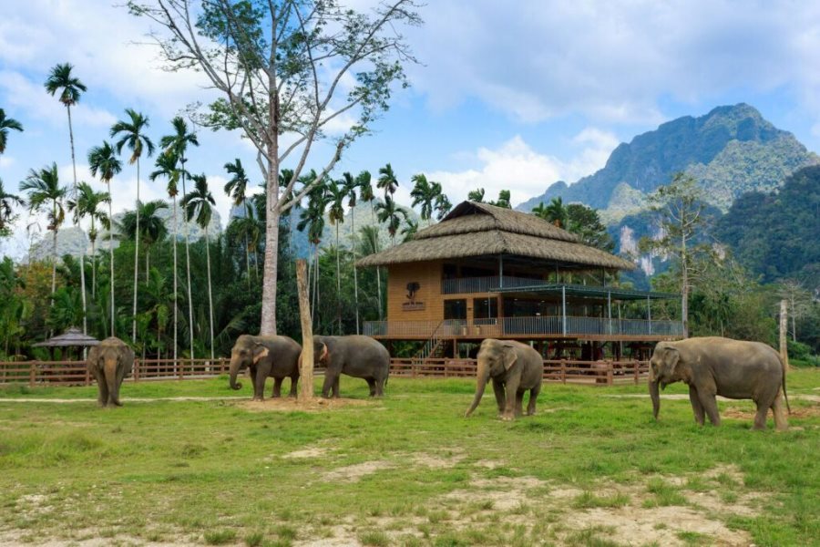 Elephant Hills in Khao Sok National Park (Source: Rainforest Camp)