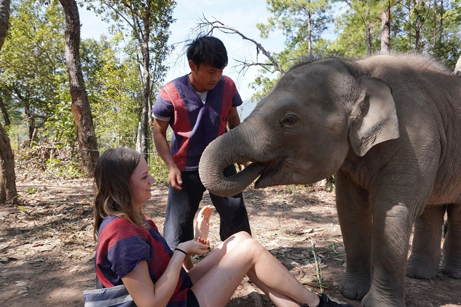 A peaceful elephant experience in a Karen village