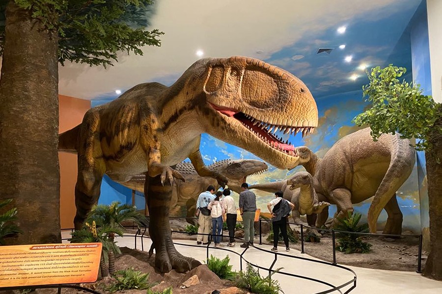 The Khorat Fossil Museum reveals millions of years of geological and prehistoric history