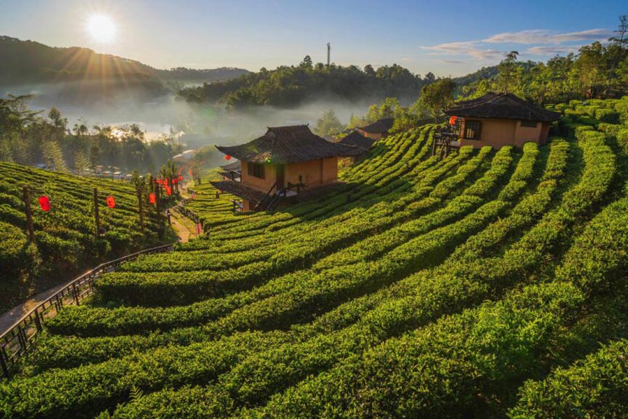 Mae Hong Son Travel guide