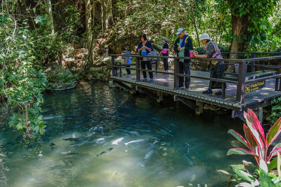 Travel guide to Mae Hong Son - Tham Pla