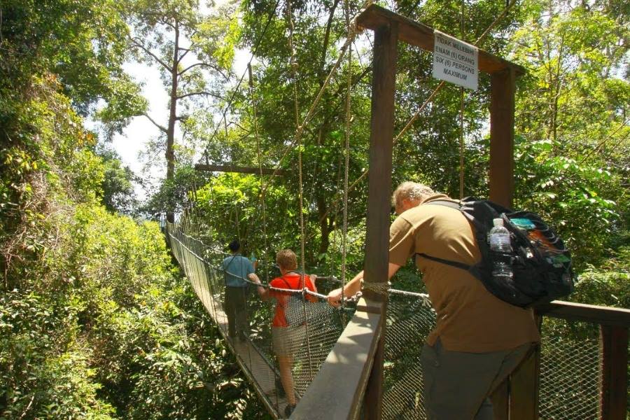 Poring Hot Springs & Canopy Walkway