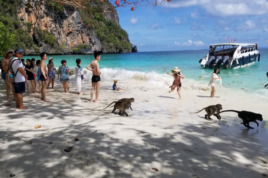 Monkey Beach – A pristine paradise with adorable monkeys (Source: Agoda)