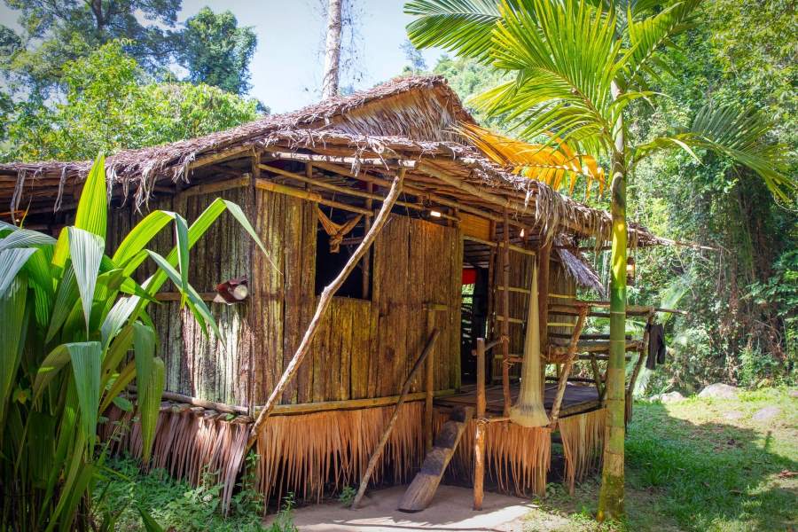 The houses are all made from natural materials 