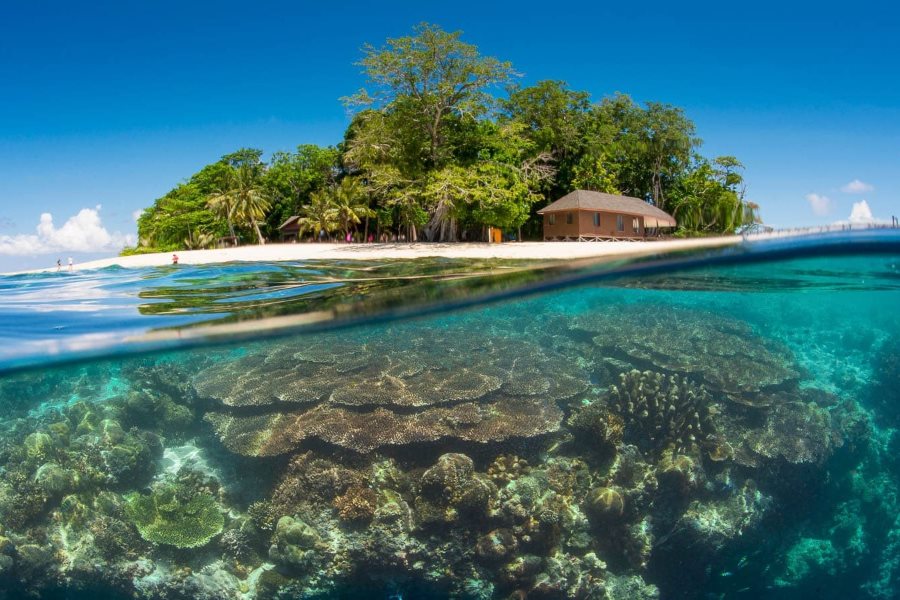 Diving paradise at Sipadan Island 