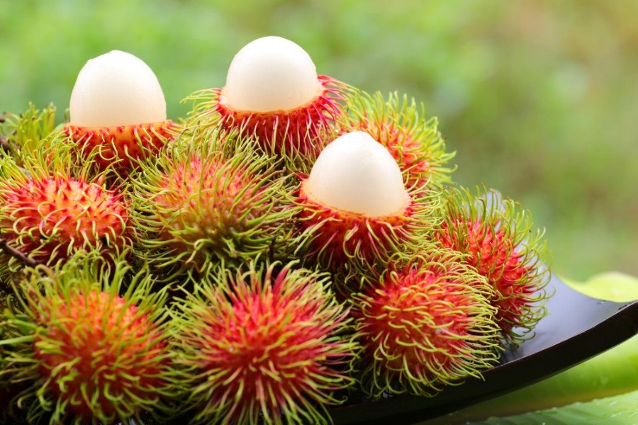 Rambutan&nbsp;