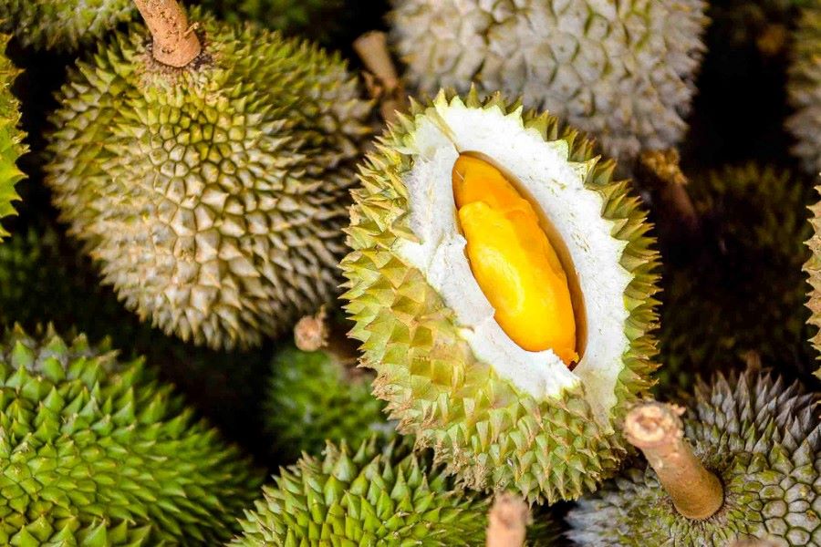 Durian is also known as the King of Fruits in Thailand&nbsp;