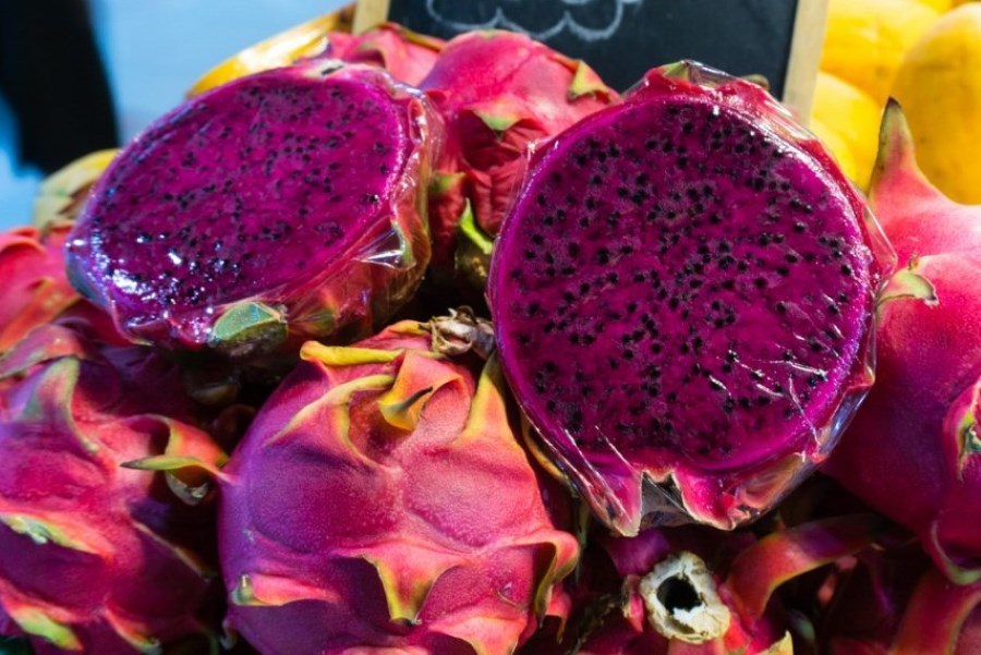 Dragon Fruit
