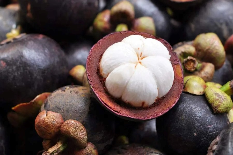 Mangosteen - The Queen of Thai Fruits