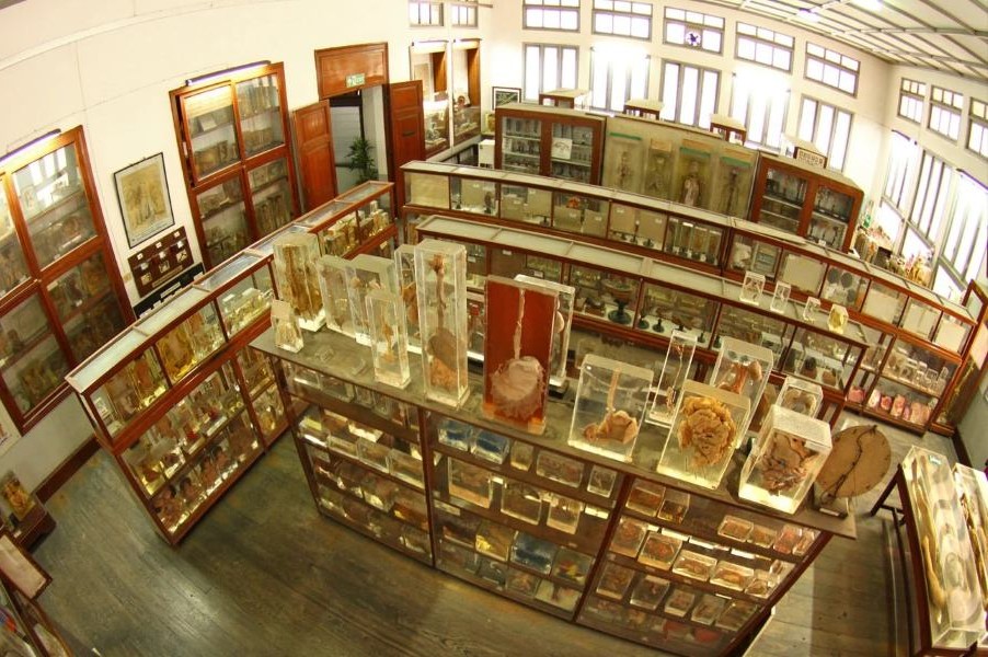 Siriraj Medical Museum
