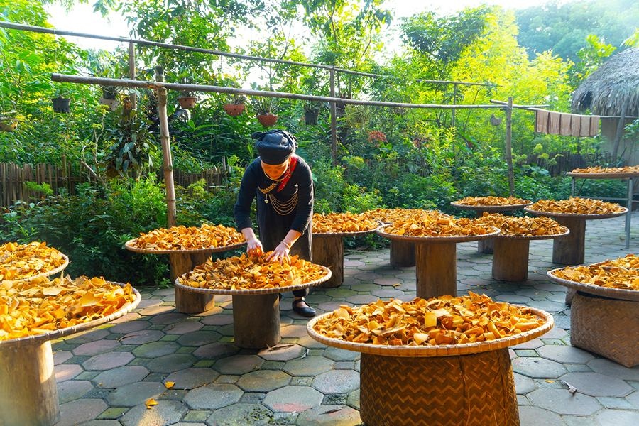 Thai Hai Village