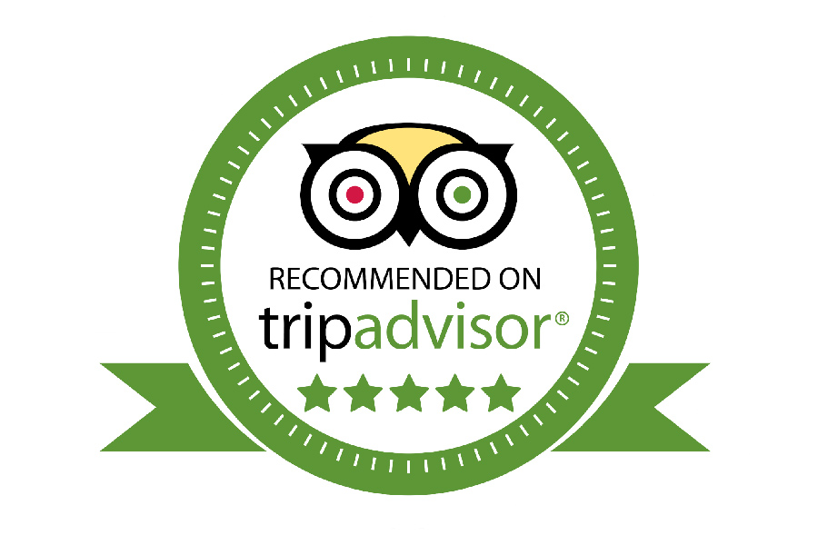 When using these websites, consider reading multiple reviews to get a balanced understanding of the experiences shared by different travelers