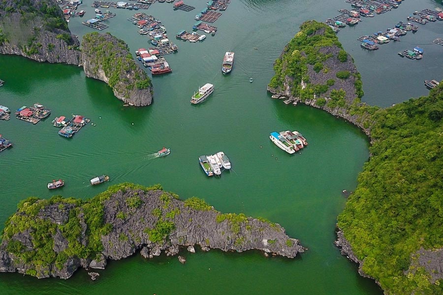 Cat Ba Island boasts exquisite beaches and ancient forests with varied flora