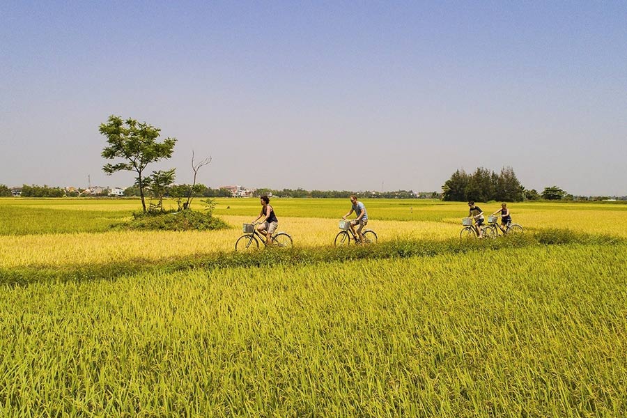 Things to do in Hoi An: Discover the countryside