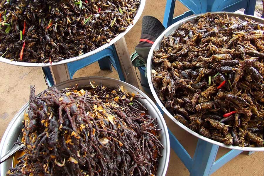 Going to Cambodia without enjoying delicious fried insects is not considered going to Cambodia