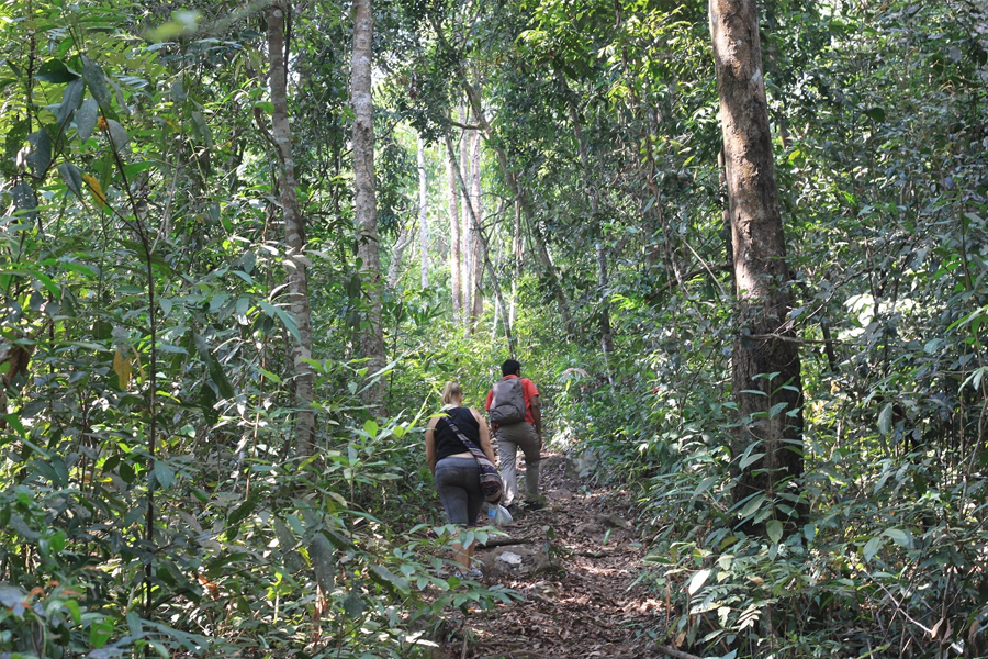 Trekking in Kep National Park