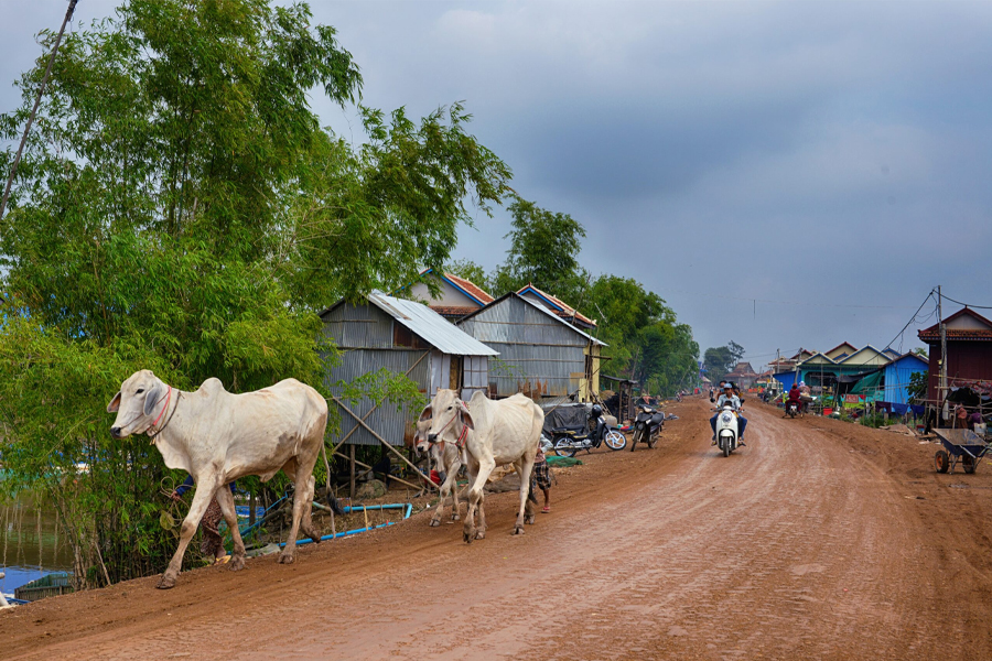 Kandal countryside