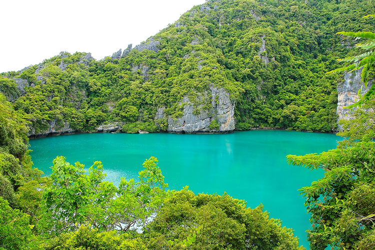  It is thought that the lagoon was created from a collapsed limestone cavern, which is now filled with salt water entering through subterranean tunnels