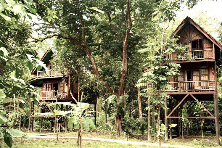 Treehouse accommodations in Khao Sok National Park offer a unique and immersive experience, allowing visitors to stay amidst nature and enjoy the beauty of the rainforest