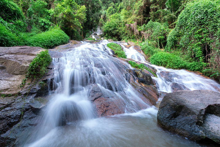 Surrounded by dense tropical foliage, the waterfalls offer a picturesque setting