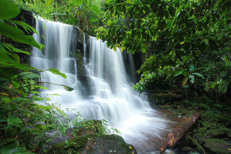 Phu Hin Rong Kla National Park is a scenic and diverse national park located in the Phetchabun and Phitsanulok provinces