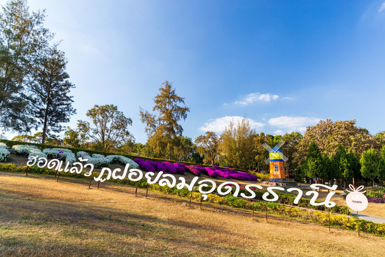 Phu Foi Lom is known for its natural beauty, and if it has been developed into an eco park, it may offer various attractions and activities focused on environmental conservation and outdoor recreation