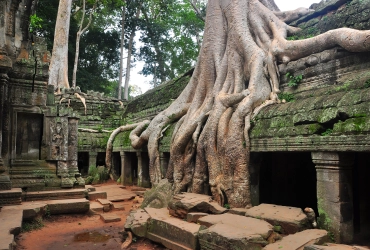 Day 3: Siem Reap – Angkor Highlighted Temples (B)