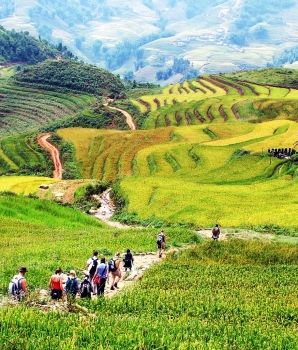 Sapa Trekking Tour 5 Days: From Hanoi to Muong Hoa Valley