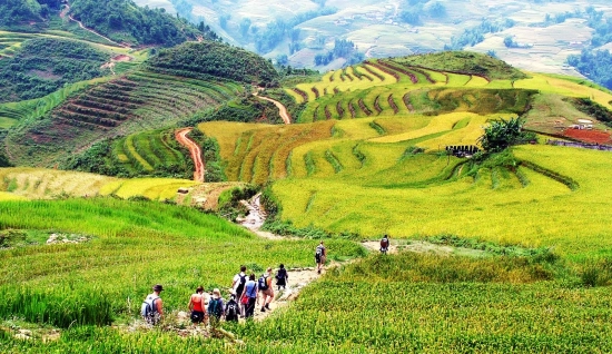 Sapa Trekking Tour 5 Days: From Hanoi to Muong Hoa Valley