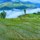 Sapa Trekking Tour 5 Days: From Hanoi to Muong Hoa Valley