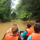 Malaysia tour 7 days: Wildlife Exploration