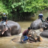 Malaysia 10 days tour: An ideal holiday in Kuala Lumpur & Tioman Island