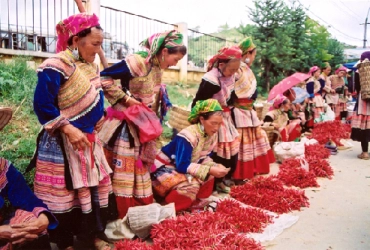 Lao Cai - Coc Ly ethnic market (Tuesday only) – Sapa (B, L)