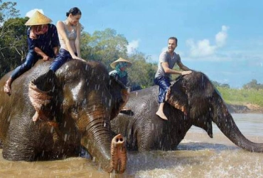 Chiang Rai City – Elephant Riding (B)