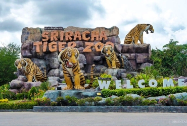 Pattaya arrival - Sri Racha Tiger Zoo