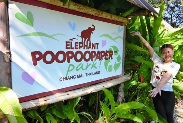 Elephant Poopoo Paper Park – Chiang Mai Departure (B)