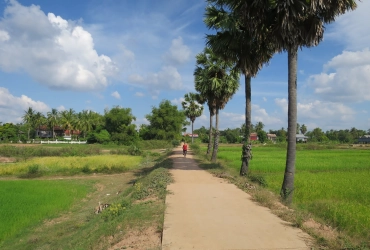 Phnompenh – Kampong Cham – Kratie– KohTrong(B, L)