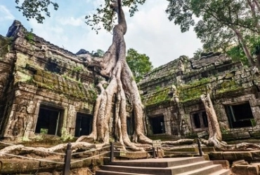 Angkor Temple (B)