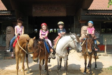 Riding horse - Flight to Phnompenh (B)