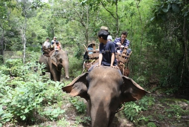 Mondulkiri – Elephant Trekking (Join-in Basis) (B, L)