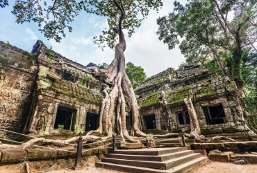 Banteay Srei – Ta Prohm – Preah Khan  - Siem Reap (B)