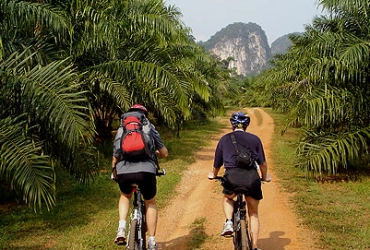 Luang Prabang – Kewkacham (B, L, D) Cycling distance 77 km
