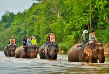 Pakbeng – Mekong Elephant Camp & Trek (B, L, D)