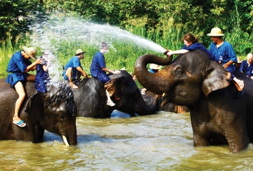 Luang Prabang – Shangri Elephant Experience- Luang Prabang  (B)