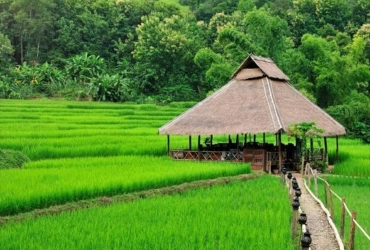 Luang Prabang- Kamu Lodge (B, L, D)