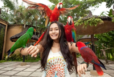 Ubud - The Bird Park 