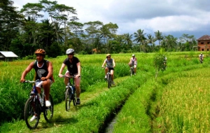 Lombok Discovery Biking Tour