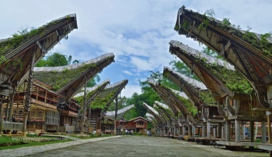 Remote Tana Toraja Sulawesi