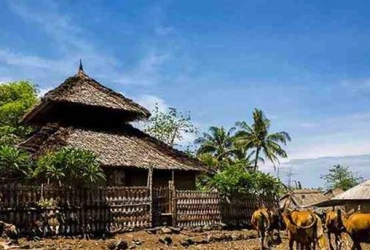 Pelawangan I- Mondokan Lolak – Montong Satas – Seneru village – Depart (B, L,)